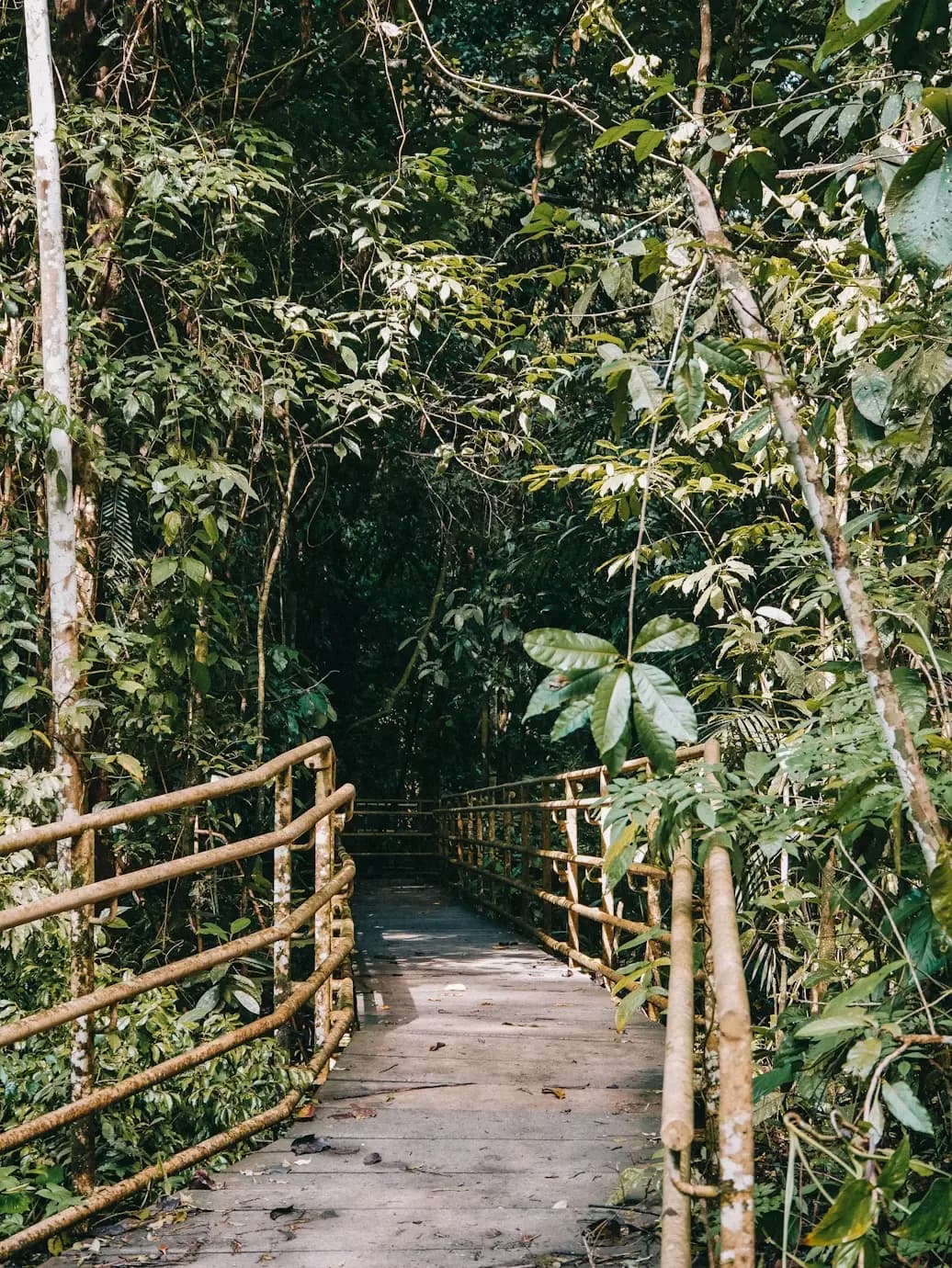 Manuel Antonio — 3