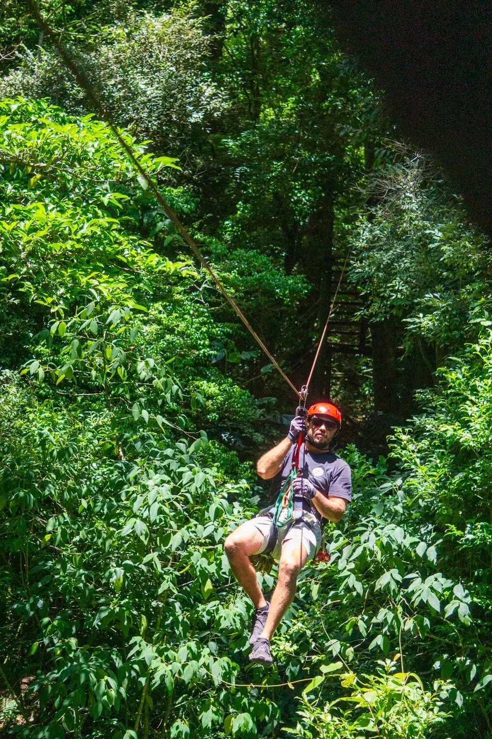 Monteverde — 3
