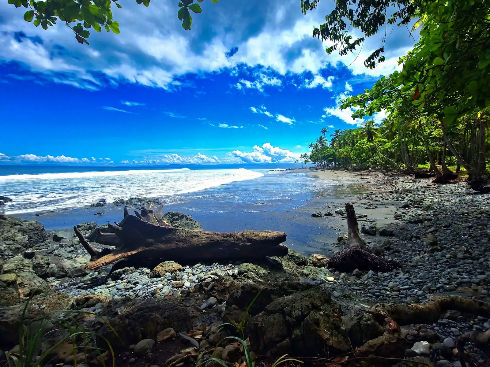 La Fortuna → Tamarindo