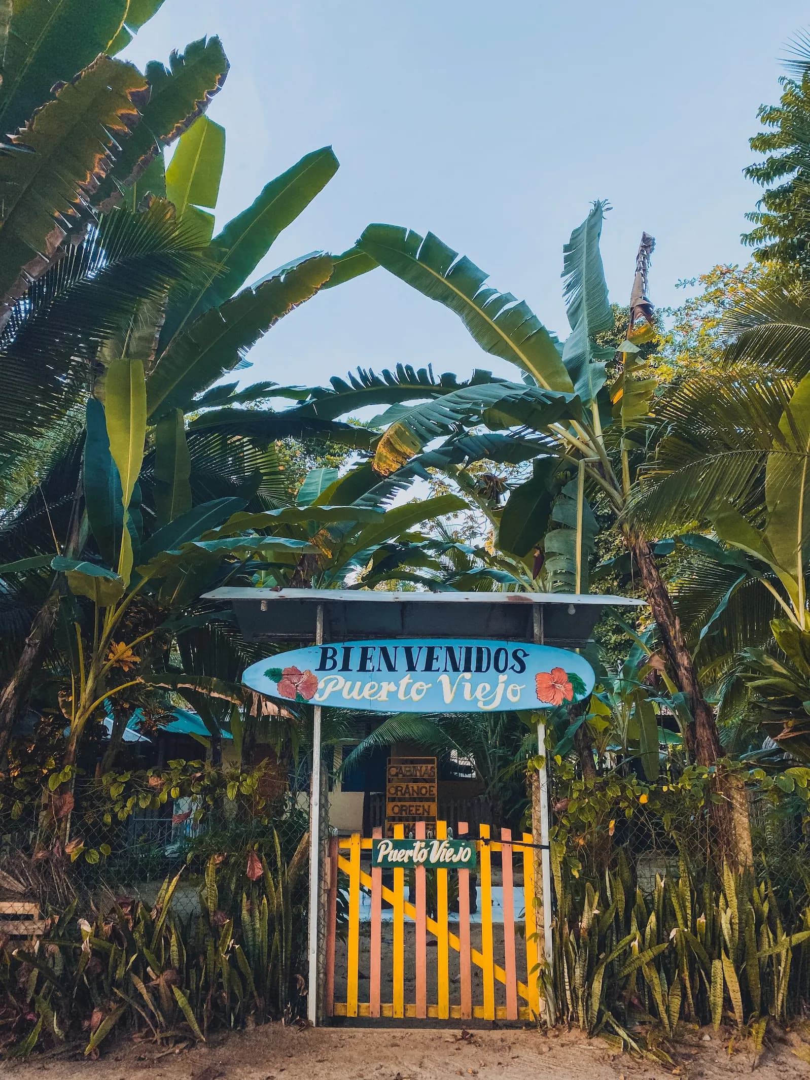 Puerto Viejo — 3
