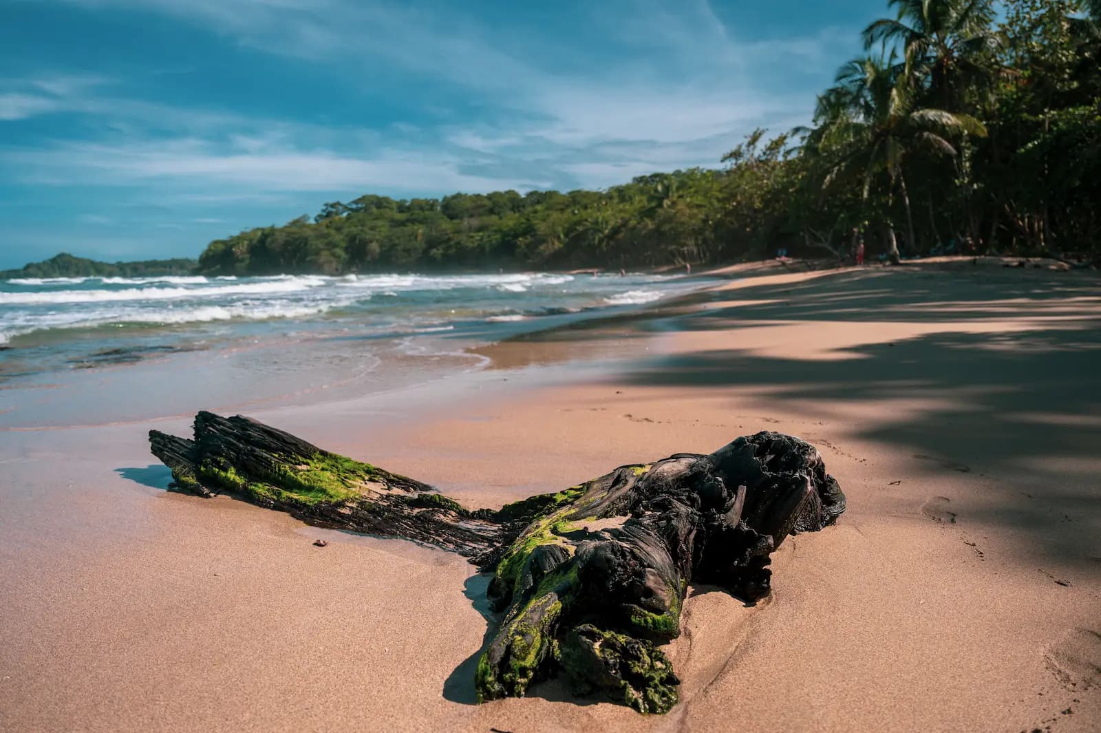 Puerto Viejo — 2